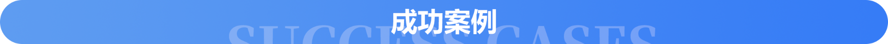 成功案例