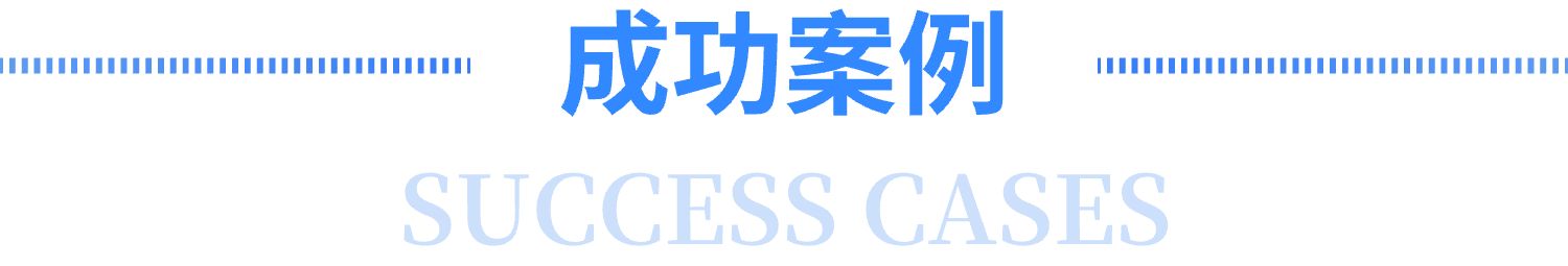 成功案例